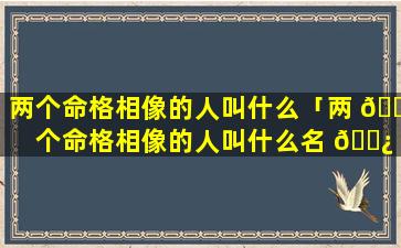 两个命格相像的人叫什么「两 🌼 个命格相像的人叫什么名 🌿 字」